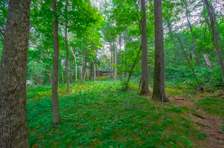 PHOTOS Beautifully updated house on St. Croix River for sale Real