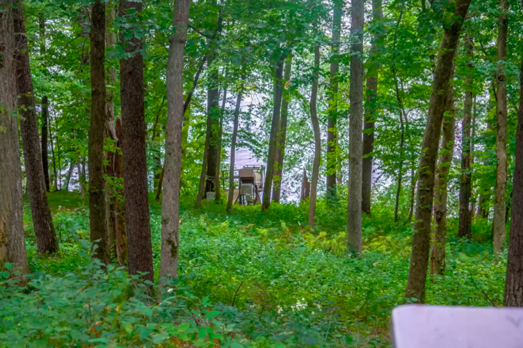 PHOTOS Beautifully updated house on St. Croix River for sale Real