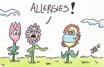 Editorial cartoon Mike Wilke allergies