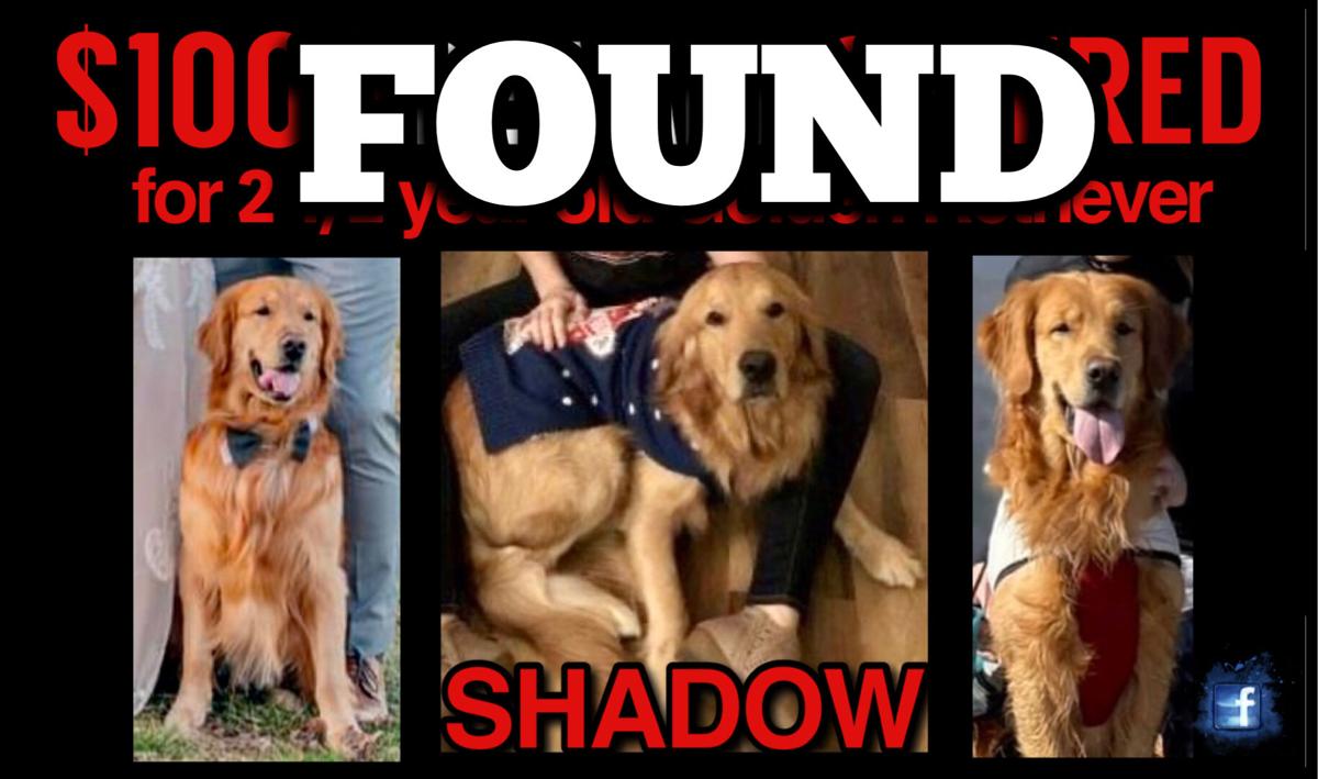 Update Shadow Has Been Found Local News Rivervalleynow Com
