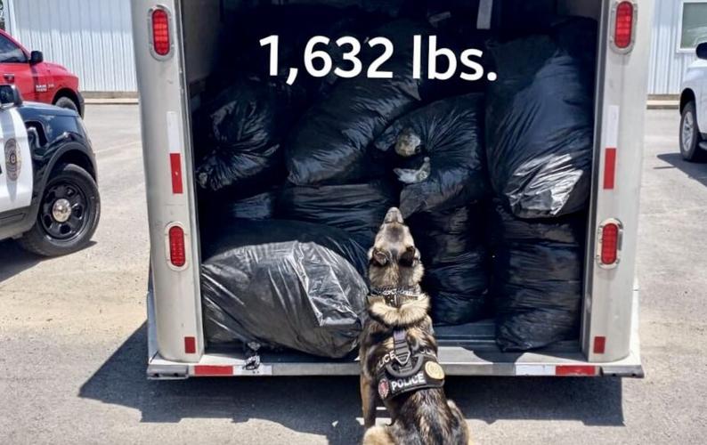 Morrilton Police Department’s K9 Thor assists Arkansas State Police in