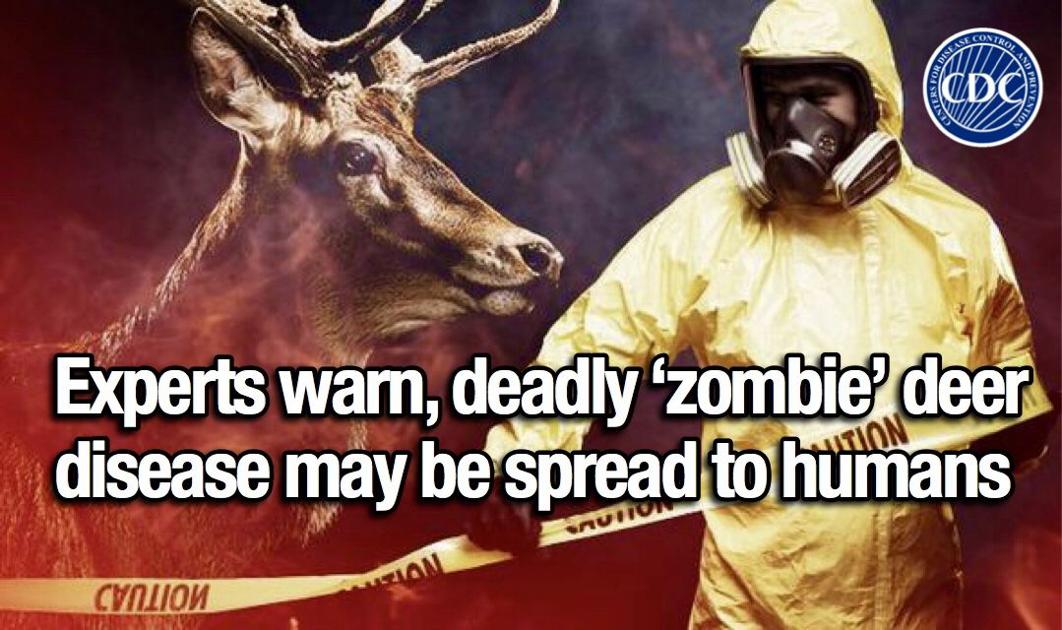 Experts warn, deadly ‘zombie’ deer disease may be spread