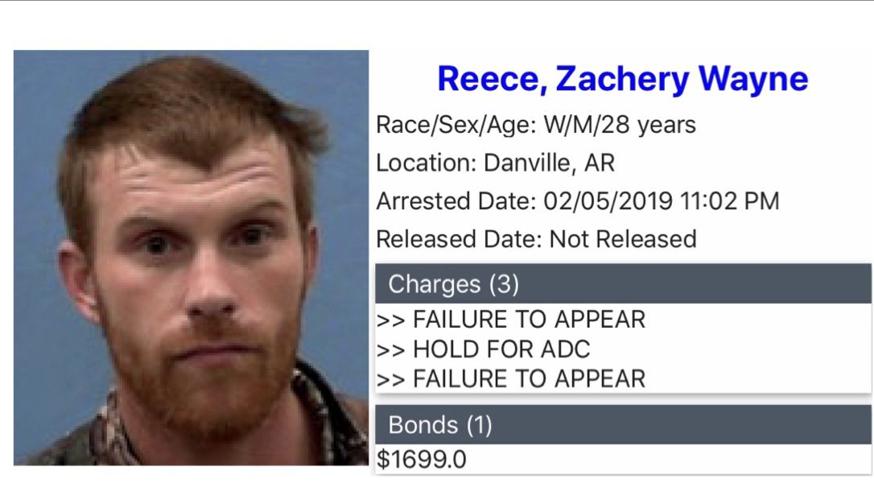 Photos Yell County Mugshots February 27, 2019 Mugshots