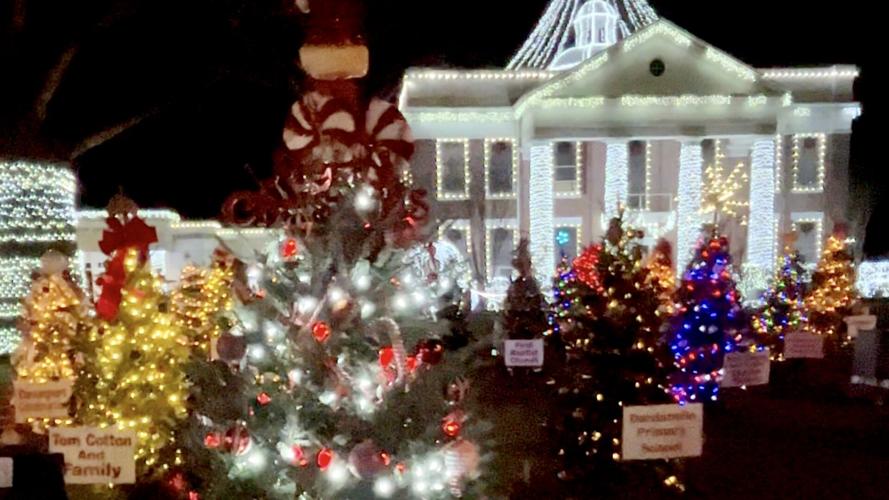 Trees at the Courthouse in Dardanelle Life in the Valley