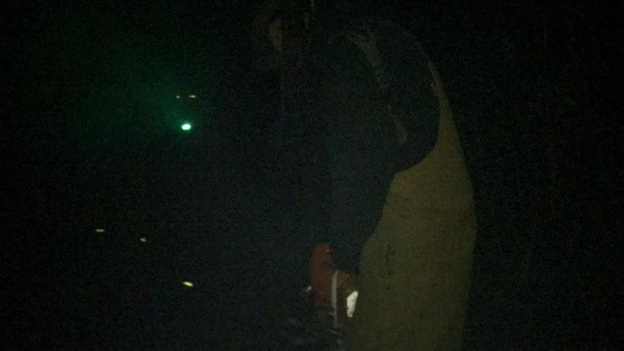 Hundreds attend Hector Fire Department’s annual fundraiser ‘Haunted