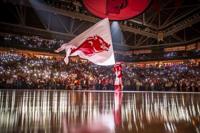 Arkansas Razorbacks Basketball