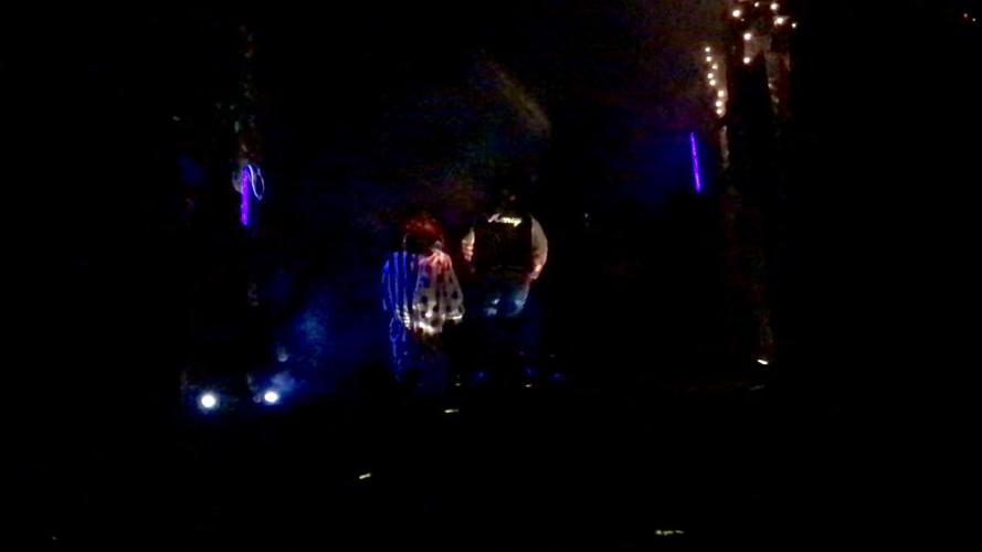 Hundreds attend Hector Fire Department’s annual fundraiser ‘Haunted