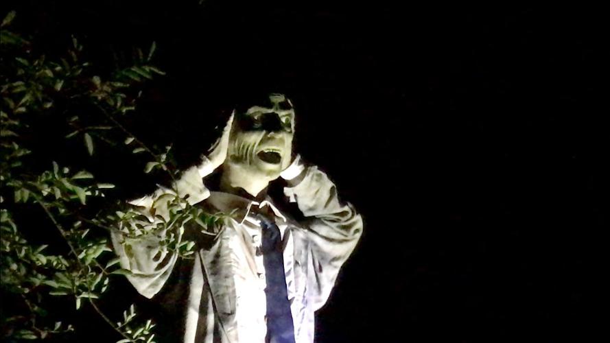 Hundreds attend Hector Fire Department’s annual fundraiser ‘Haunted