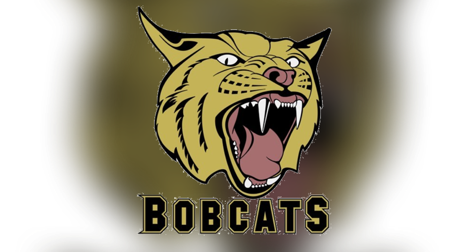 Sand Lizards slither through challenge from Bobcats Local Sports