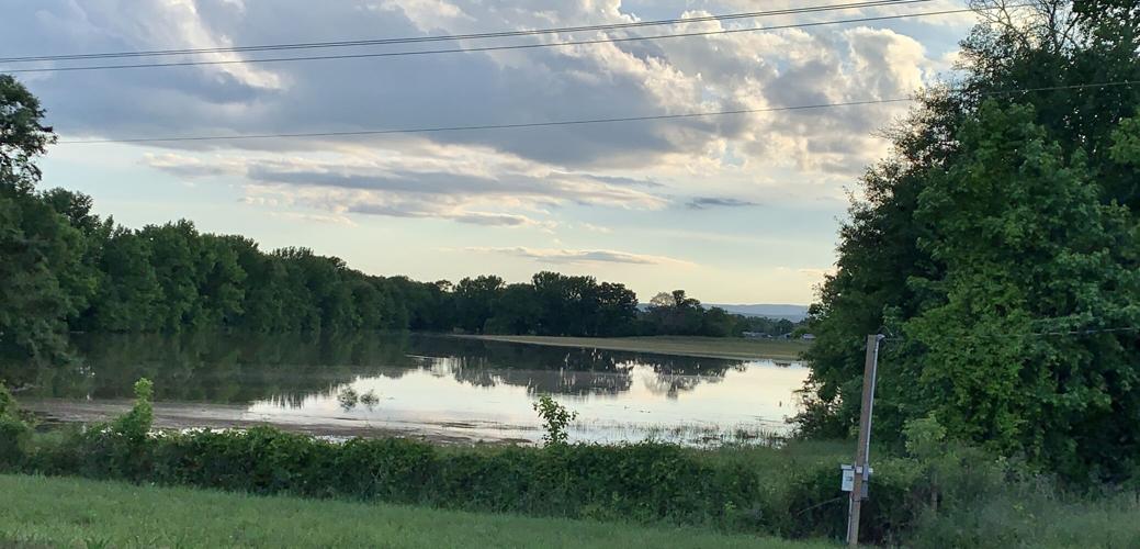 River Flood Warning issued for Petit Jean River at Danville Local