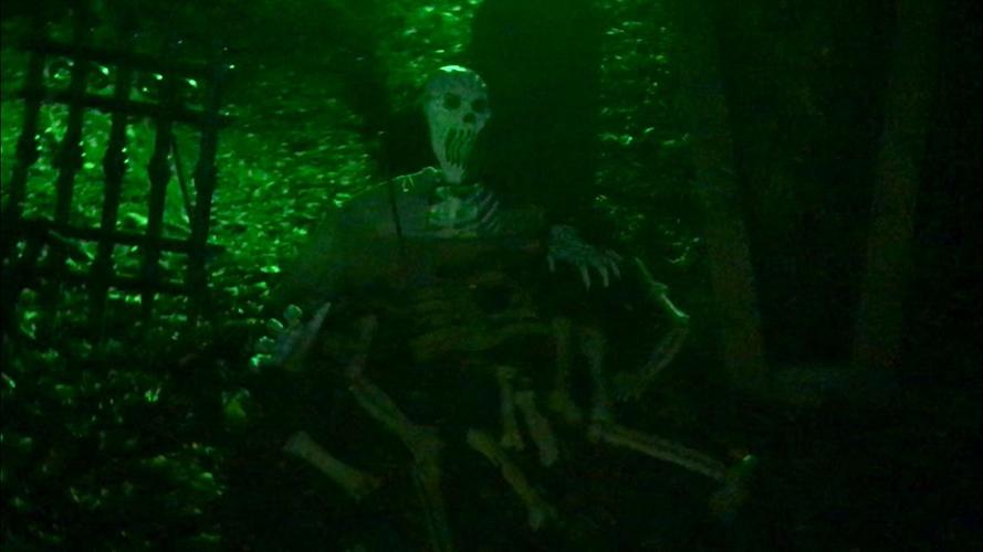 Hundreds attend Hector Fire Department’s annual fundraiser ‘Haunted