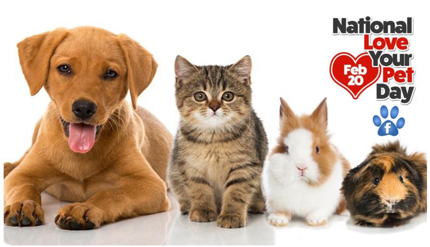 Recognizing our pets on National Love Your Pet Day, February 20, 2020