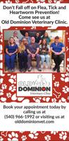 OLD DOMINION VETERINARY CLINIC