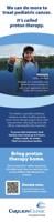 CARILION HEALTH/ACCESSU