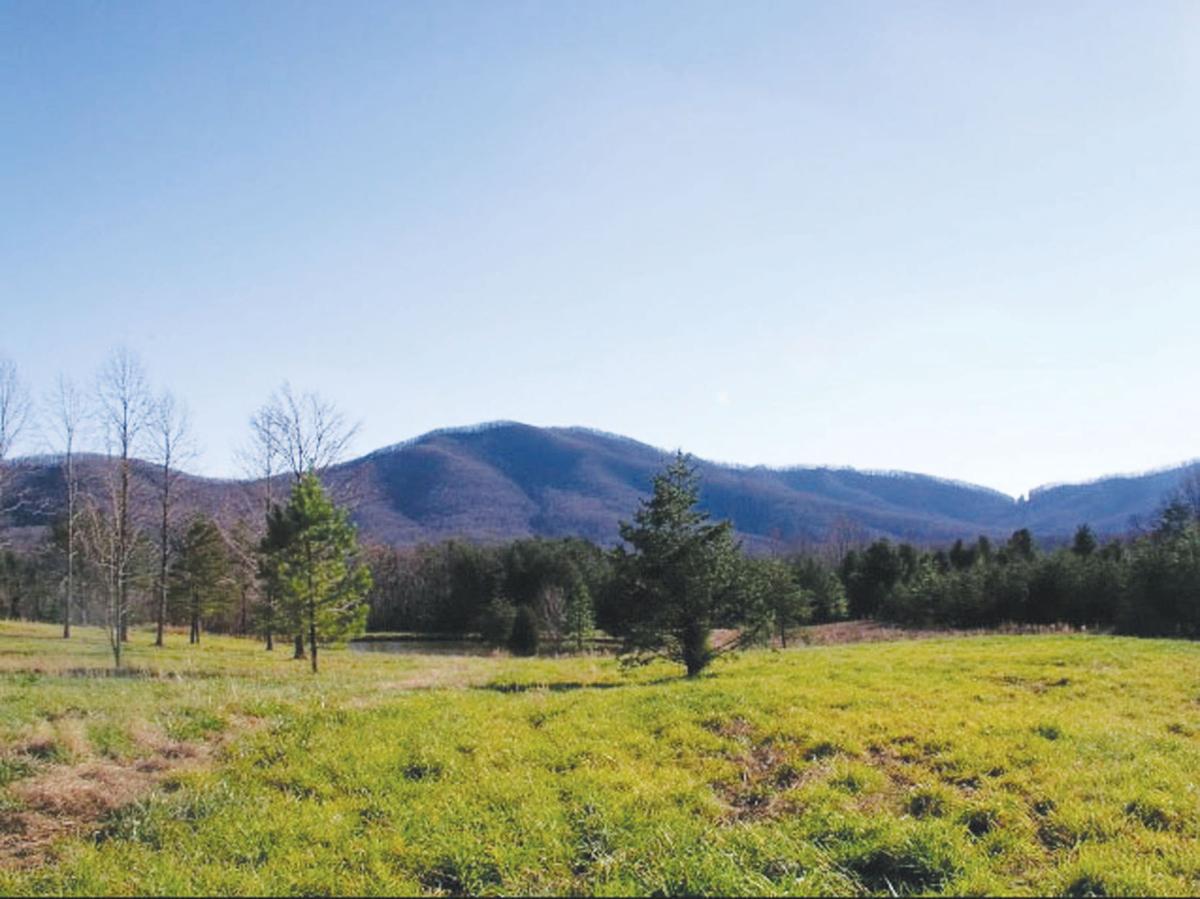 Pipeline threatens plans for 35 million Nellysford resort Virginia