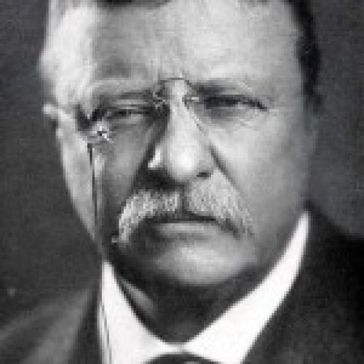 Quote Of The Day Teddy Roosevelt On Glory And Failure Local