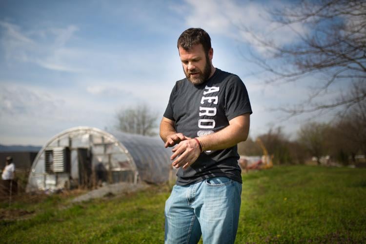 Roanoke Valley farmer, others: High hopes blunted by Virginia's politics of  cannabis regulation