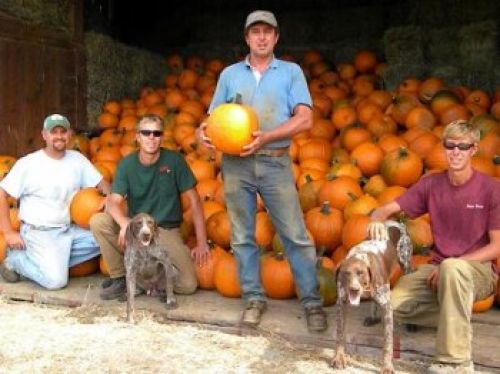 It's Fall Fest And Pumpkin Time At Jeter Farm