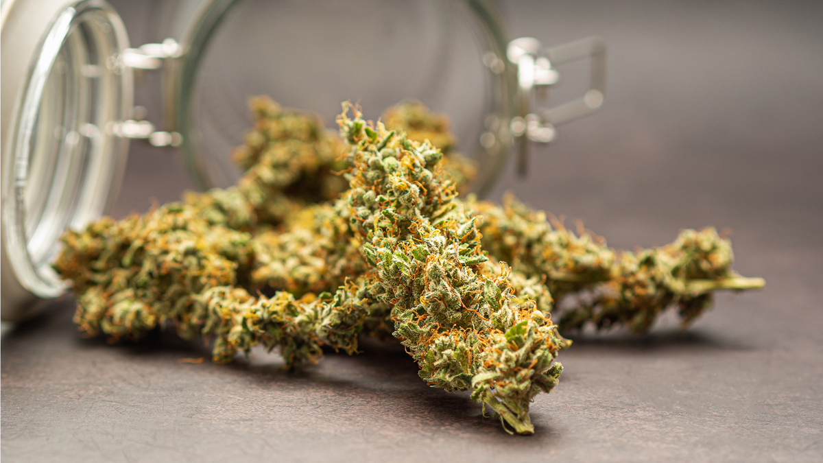 Bay Smokes: Your premier source for premium THCa products