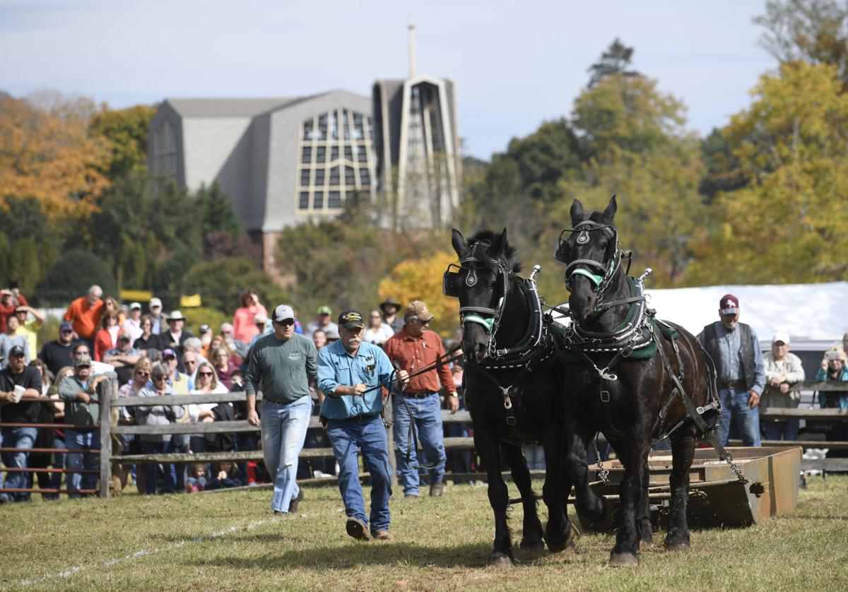 Coronavirus concerns lead to Blue Ridge Folklife Festival cancellation