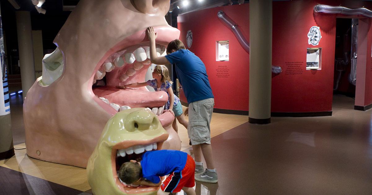 Science museum gets interactive