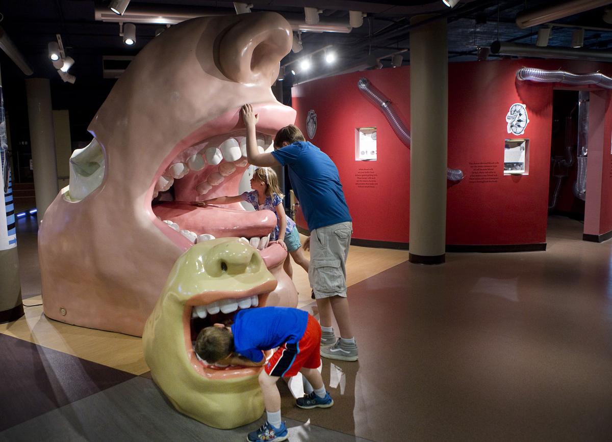 Science museum gets interactive Arts