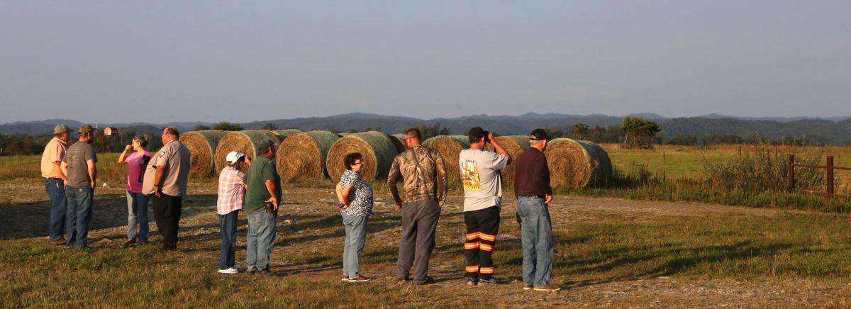 Elk come home to Virginia Virginia