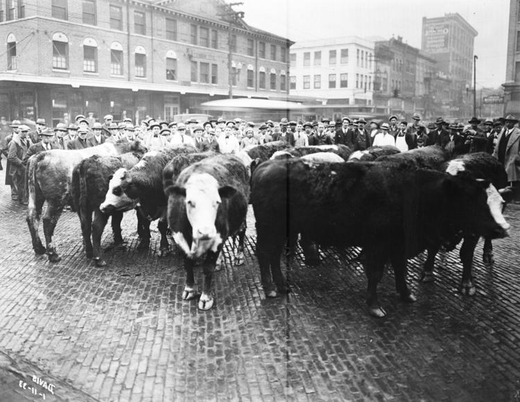 Photos The Roanoke City Market through the years