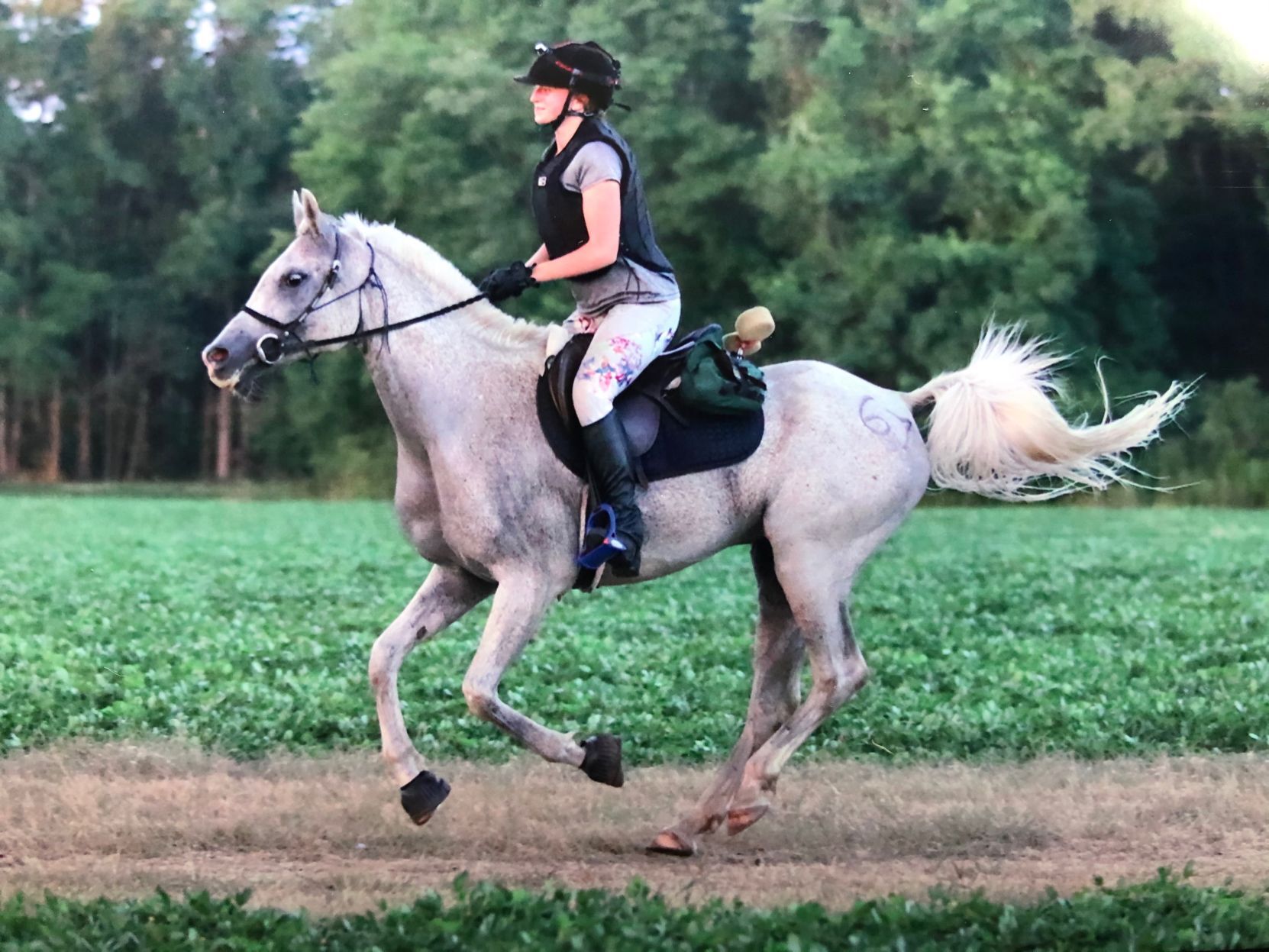 endurance horse riding boots