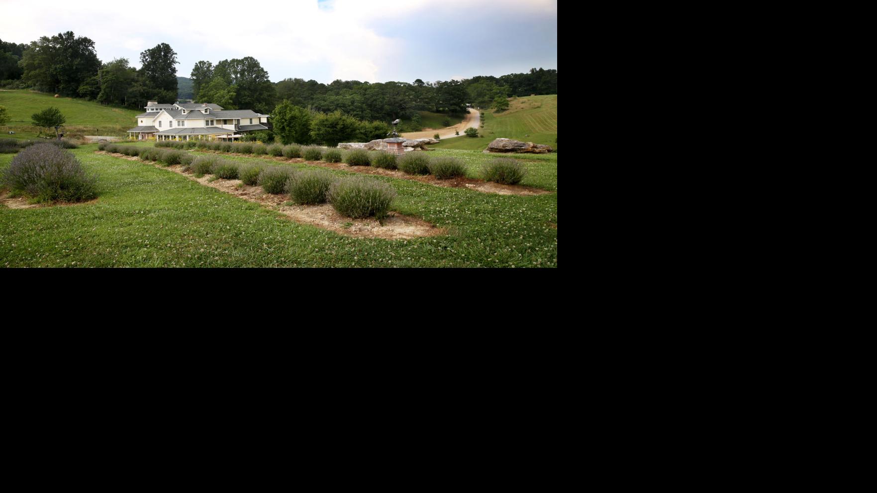 Agritourism a growing trend for Virginia farms Business