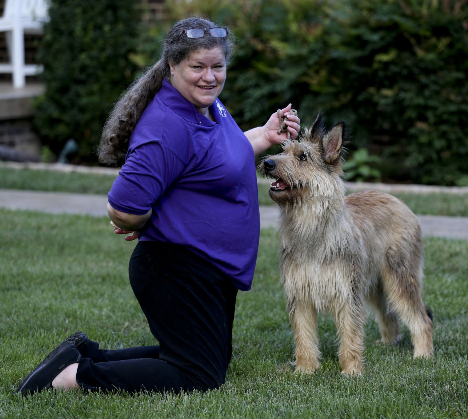 Roanoke Dog Breeder Helps Berger Picards Get Their Place In Akc Registry Lifestyles Roanoke Com