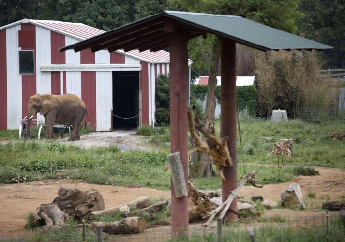 Natural Bridge Zoo owner optimistic after latest inspection