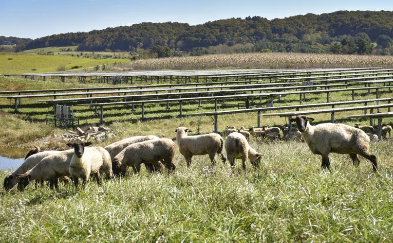 Largest solar farm in Southwest Virginia on agenda in Pulaski County