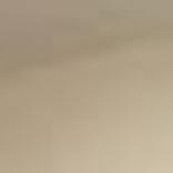 Golden Age Of Pawn Shops Archive Roanoke Com