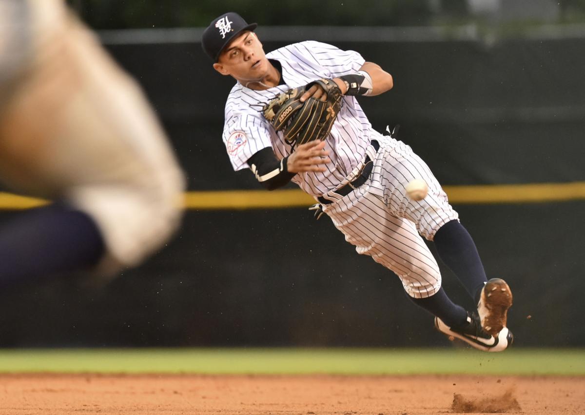 Pulaski Yankees open season with win over Princeton Rays | Local Pro