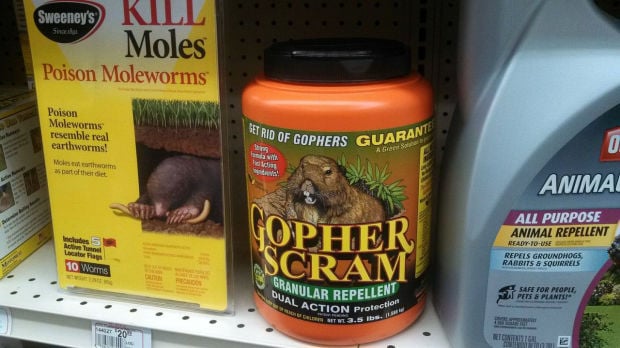 best groundhog poisons