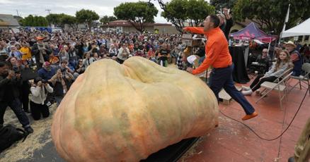 Gourd heavens Pumpkin weighing 2749 pounds wins California contest squashes world record for biggest gourd Gourd heavens Pumpkin weighing 2749 pounds wins California contest squashes world record for biggest gourd