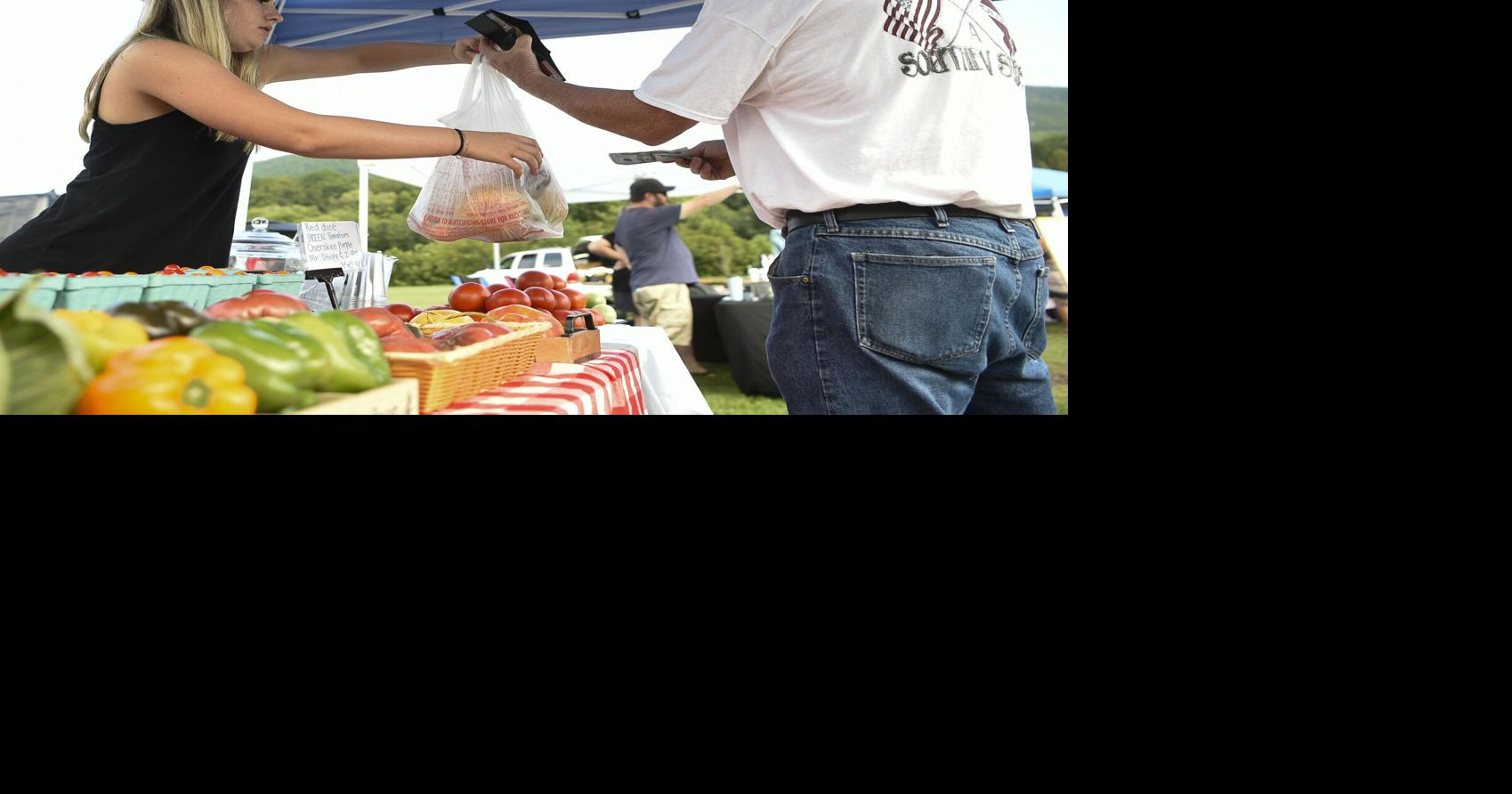 Photos From the Botetourt Tomato Festival