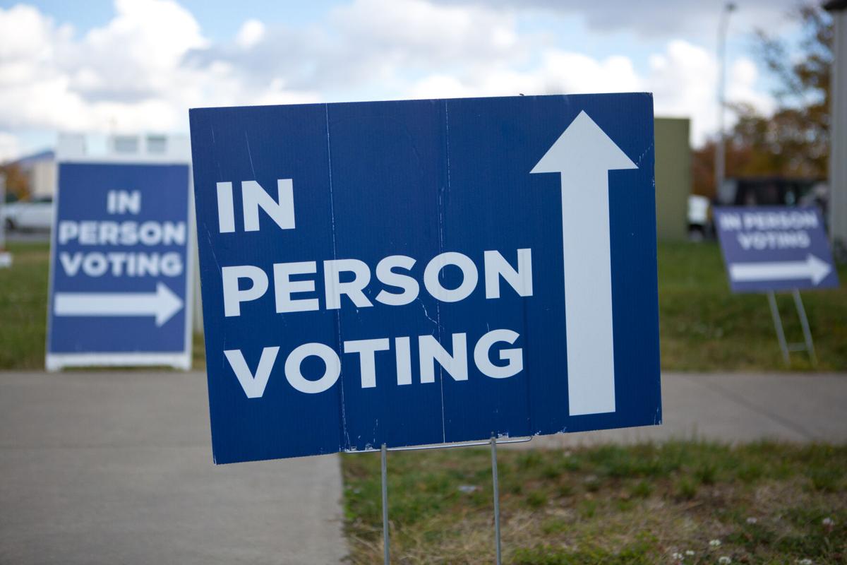 Roanoke Democratic Committee statement calls for need of fair elections