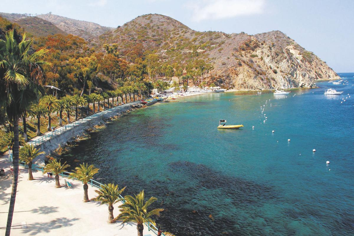 Download Stay more than a day to get the most of Catalina Island ...