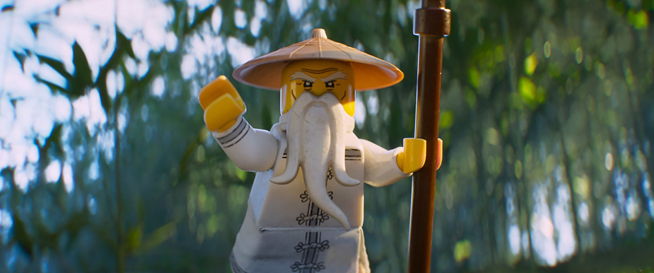 enter the ninjago