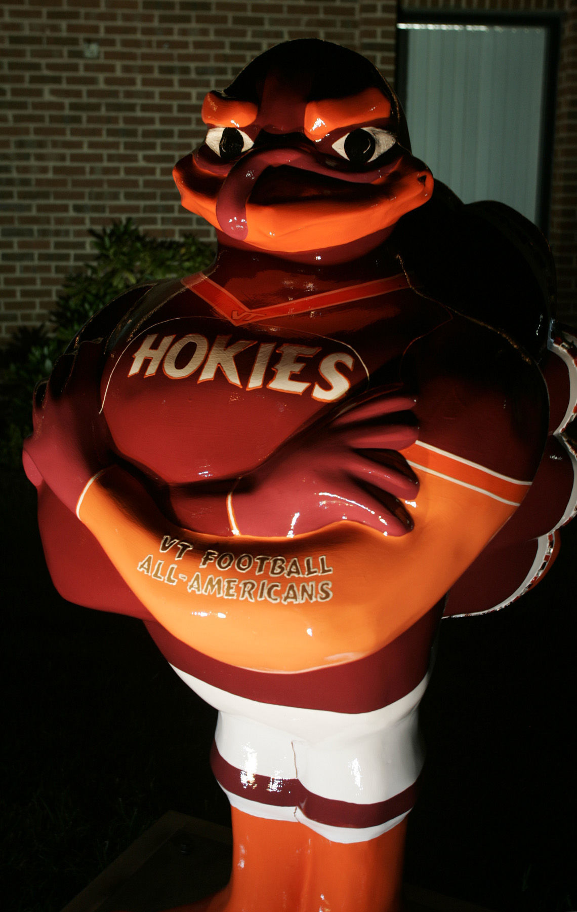 Photos Blacksburg's flock of Hokie Birds Gallery