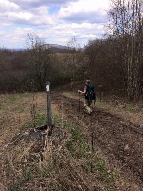 Appalachian Trail damage