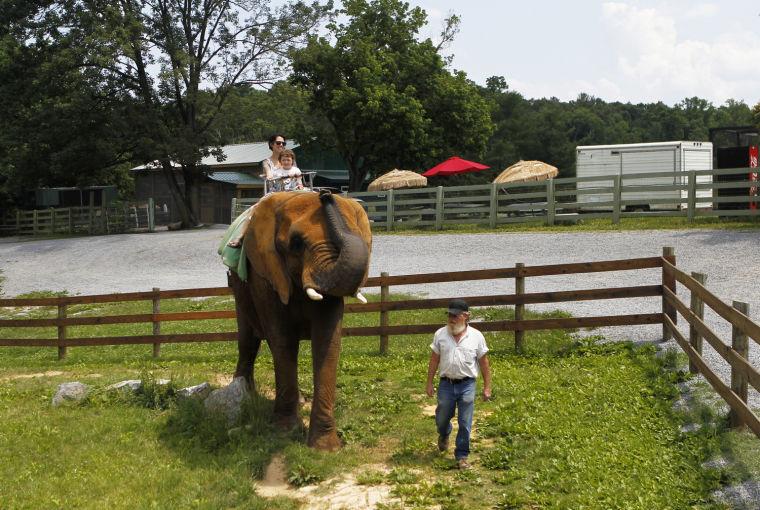 Latest USDA inspection finds more problems at the Natural Bridge Zoo