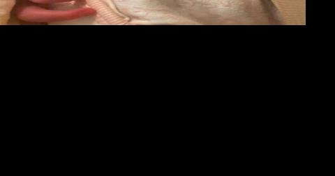 CASEY: An exciting — and tiny — new face in the far-flung Casey brood - Vimarsana News