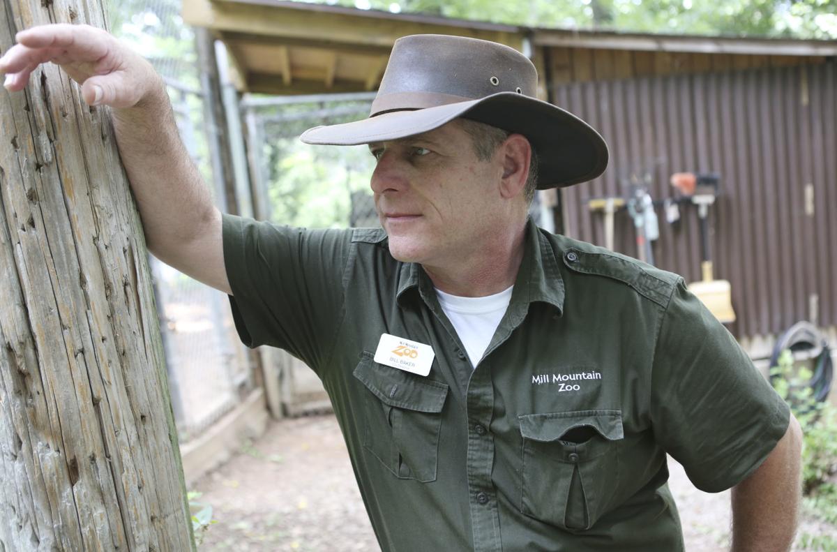 Mill Mountain Zoo Co Director Leaves For Job In Florida Local News Roanoke Com
