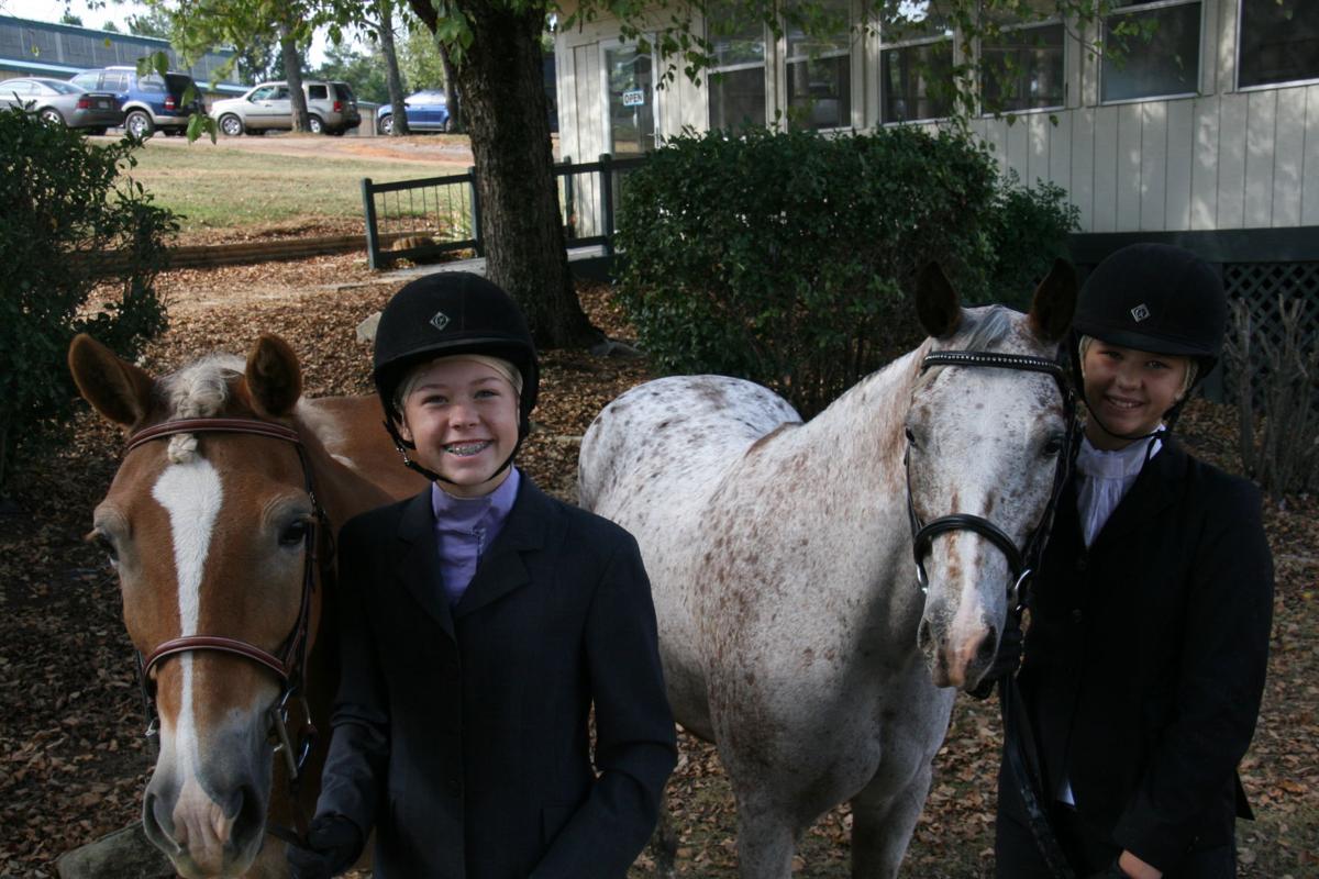 Breyer Harley - Franklin Saddlery