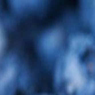 Blueberries For Everyone Archive Roanoke Com