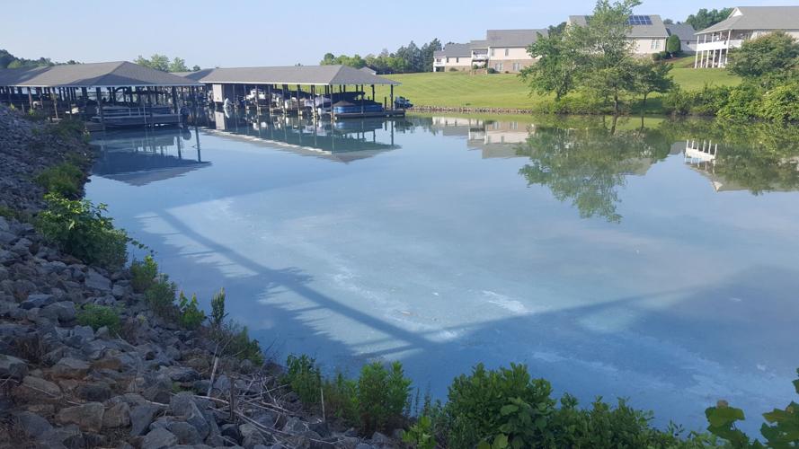 Algae Bloom at SML (copy)