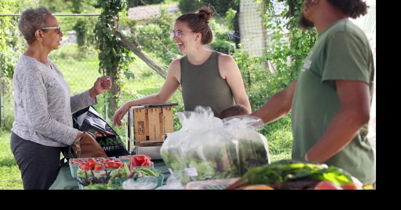 PHOTOS & VIDEO: Urban farm hopes to fill grocery void